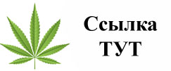 Купить наркотики в Ярославле